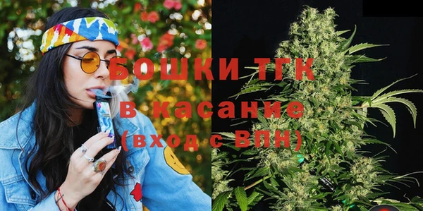 ГАЛЛЮЦИНОГЕННЫЕ ГРИБЫ Каменка