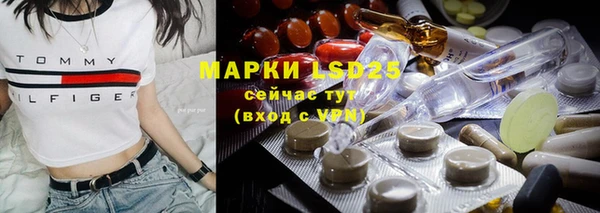 ГАЛЛЮЦИНОГЕННЫЕ ГРИБЫ Каменка