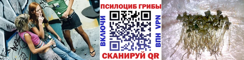 Купить закладки Питкяранта Галлюциногенные грибы мицелий
